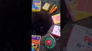 Different Types of Diwali Unique Crackers Testing In Hole  2024 💀 POV Crackers Chorsa  BIDI Bomb [upl. by Iphigenia]