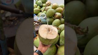 Slice crispy coconut coconut satisfying cutting asmr reels [upl. by Omoj]