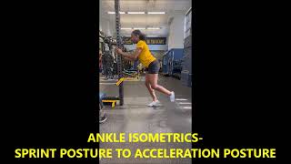 ANKLE ISOMETRICS [upl. by Olegna]