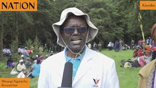 Kill the butterflies Kiambu farmers want farmlands fumigated due to infestation [upl. by Ynetruoc]