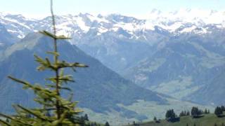 Journey up Mount Rigi from Lucern Switzerland with Trafalgar MOV00479MPG [upl. by Airpac]