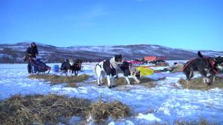 Finnmarksløpet 2010  Action fra Sirma til Karasjok [upl. by Woodall233]