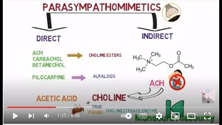 parasympathomimetic drugs acetylcholine cholinergic receptors شرح فارما مبسط 💊 [upl. by Llecrad776]