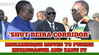 Mozambique PROTESTERS Now Target Mnangagwa and ZANU PF Life lines [upl. by Swarts]