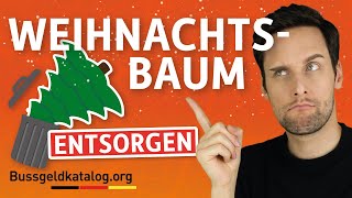 Weihnachtsbaum richtig entsorgen 🎄 So gehts  bussgeldkatalogorg [upl. by Yahsal137]