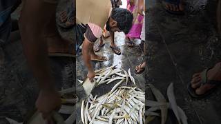 Cheap amp best ah மீன்கள் வாங்க சிறந்த இடம் கட்டுமாவடிfishseafood [upl. by Beeson]