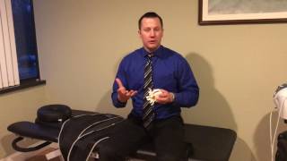 Disc Herniation and Disc Bulging explained by Dr James Fedich [upl. by Anair]