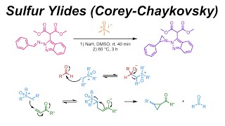 Sulfur Ylides  CoreyChaykovsky Reaction IOC 42 [upl. by Namor]