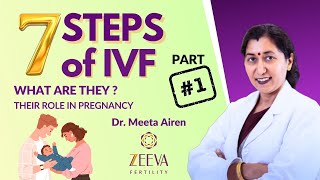 7 Steps of IVF 1  Dr Meeta Airen [upl. by Anitniuq]