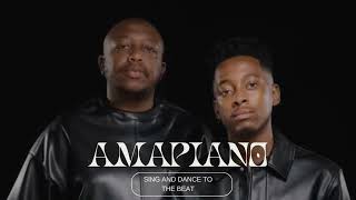 Amapiano Amalanga Awafani  Mas Musiq DJ Flair SA Fizzy B Bandros Lowsheen Mixed by DJ Gumstar [upl. by Hanonew]