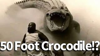 50 Foot Crocodile Seen in the Congo [upl. by Nais]