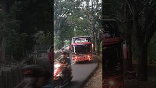 TIPEX SELAMAT JALAN VERSI TELOLET RJB TRANS WHISTARA [upl. by Lennahc994]