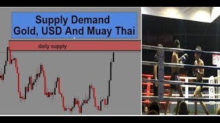 Gold Usdollar Supply And Demand Analysis And Muay Thai Boxing [upl. by Naiviv930]