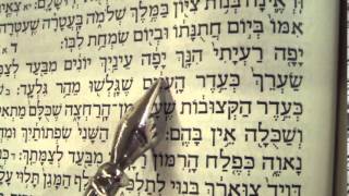 Song of Songs reading Hebrew Ashkenaz Rabbi Weisblum שיר השירים פסח נוסח אשכנז [upl. by Eniretac]