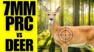 7MM PRC vs DEER [upl. by Quinton436]