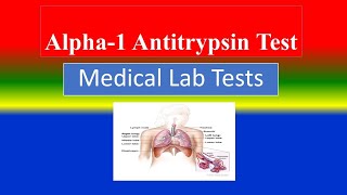 Alpha1 Antitrypsin Test   What is  Uses  Need  Risk  Preparation Results [upl. by Naffets258]