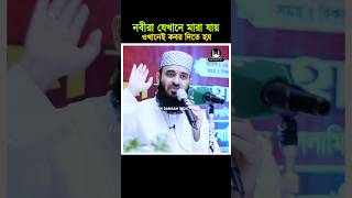 নবীরা যেখানে মারা যায় ওইখানেই কবর দিতে হয়। Mizanur Rahman Azhari shorts waz reels fyp newwaz [upl. by Aneeres]