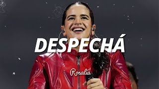 DESPECHÁ  ROSALÍA  LetraLyrics  de lao a lao [upl. by Nauq748]