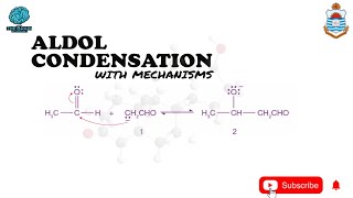 Aldol condensation reaction with mechanisms [upl. by Mamie]