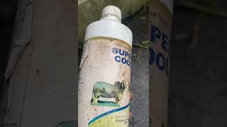 গরুর বীর্য ও ধাতু সমস্যা সমাধান এ ox cool vet or super cool vet এর ভূমিকা [upl. by Narut473]