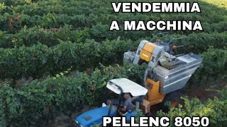 VENDEMMIA meccanizzata con VOLENTIERI PELLENC 8050 e NEWHOLLAND TK95  2023 [upl. by Anaeerb920]