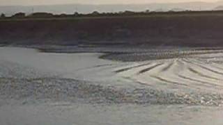 River Parrett Bore [upl. by Bronwen]