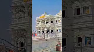 Prem mandir vindavan  radhe radhe love live explore trending lofilovesongslowedand [upl. by Auqinahs830]