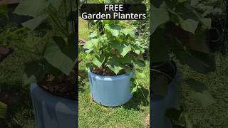 Free Garden Planters  Tips and Tricks garden gardening [upl. by Novyad286]