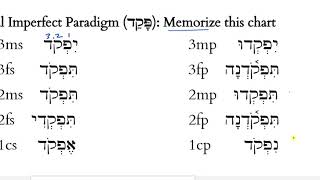 Ross Lesson 17 Imperfect Conjugation Memory Song [upl. by Karina]