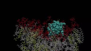 Artificial designed cell penetrating peptide goes through the membrane [upl. by Atsylac]