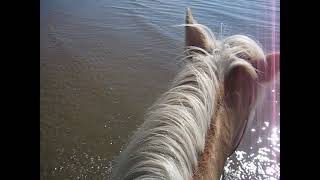 Lunan Bay beach ride [upl. by Chloette]