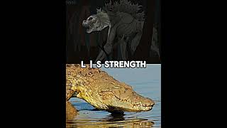 Niloticus Vs Nile Crocodile [upl. by Lambart]