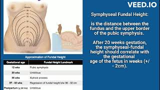 OSCE Symphyseal Fundal Height [upl. by Scheld]