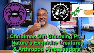 Christmas Gift Unboxing Part 1 Natures Exquisite Creatures amp Arthropod Ambassadors [upl. by Amehsat544]