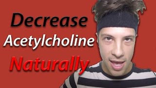 7 Ways to DECREASE Acetylcholine Naturally [upl. by Alahcim]