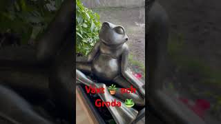 Växt 🪴 och Groda 🐸  plant and frog frog plants nature beautifulsweden norway bishnoi [upl. by Navy]