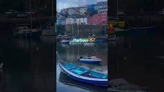 Brixham Harbour viewyoutubeshortsyoutubeshortsharbourpopularuklondonholiday [upl. by Koval]