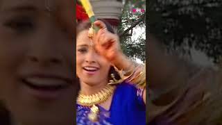 Non Stop Dandiya Songs  Gujarati amp Rajasthani Dandiya Garba Dance Songs shorts [upl. by Shah947]