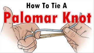 How To Tie A Fishing Knot How To Tie A Palomar Knot [upl. by Hgiel]