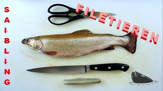 FISCH filetieren SAIBLING Schritt für Schritt [upl. by Shep]