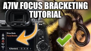 Sony A7IV Focus Bracketing Tutorial  Editing [upl. by Yna]