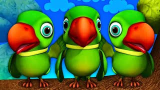 Mithu Mithu poem for kids  cartoon for kids poem for kids channel from Pakistan best cartoon video [upl. by Ainirtak904]