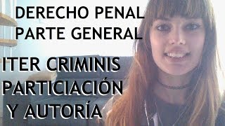 La tipicidad  Iter Criminis  Autoría y Participación  DERECHO PENAL PARTE GENERAL [upl. by Surtemed]