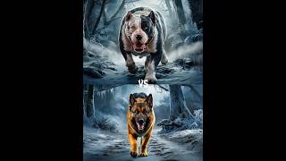 German Shepherd vs Bully Kutta vs Rottweiler Husky labradorretriever Battle [upl. by Lanevuj79]