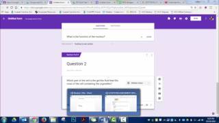 Giving Instant Feedback Google Forms Quizzes [upl. by Marlon857]