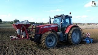 Seeding with Massey Ferguson 6480 and Lemken Zirkon [upl. by Atsirk]