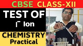 Test Of Iodide And Bromide Ion  Class12  Chemistry Practical [upl. by Lledrev]