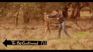 MAN HITS KANGAROO TO PROTECT DOG  TO BE CONTINUED MEME [upl. by Curkell]