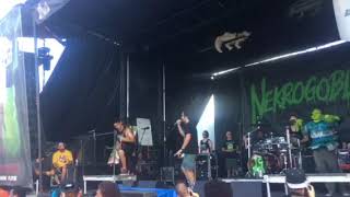 Nekrogoblikon  Dressed As Goblins Live at Vans Warped Tour 8518 West Palm Beach FL [upl. by Cathryn]