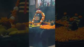 BABA 🙌🙇🕉️🔱🫴🌍🛐 shortvideo baba mhakal mahakal lodshiva mahadev itzArghya [upl. by Aznola539]